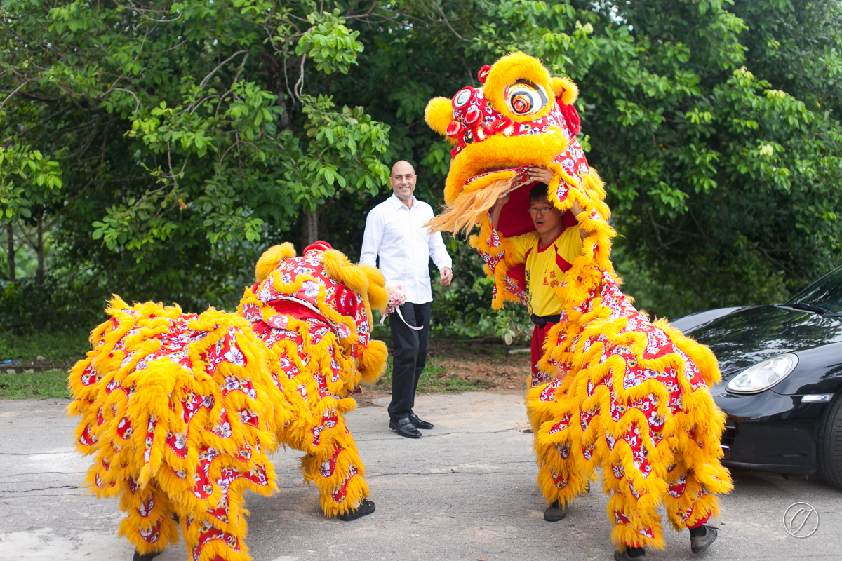 Lion dance to greet groom on wedding ceremony