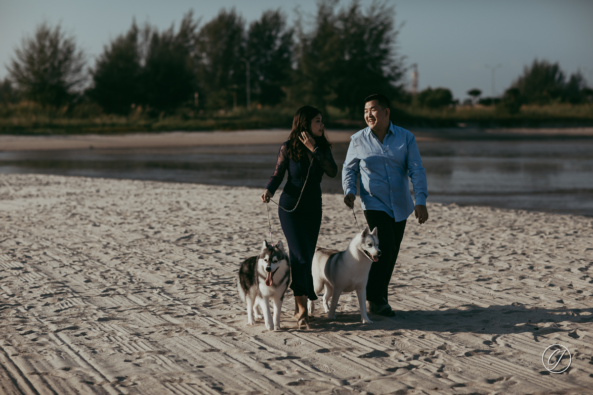 Klebang beach with dogs portrait