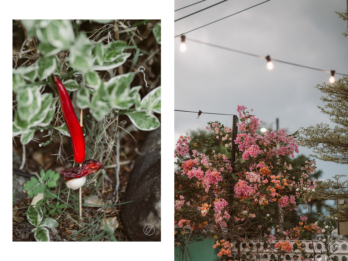 Chili, dried chili and garlic on the stick, to pray for the rain to go away